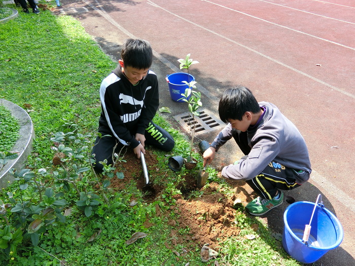 圖片說明
