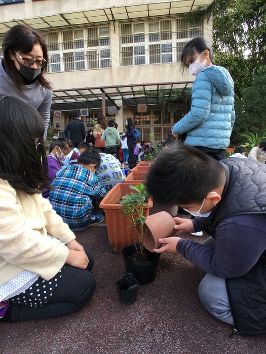 圖片說明